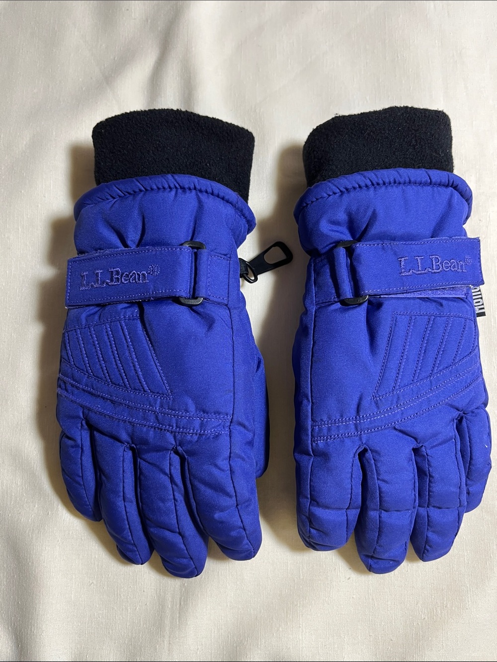 L.L.Bean Purple/Blue Insulated Ski Gloves
